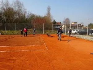 Arbeitseinsatz 2015 — Bild 7
